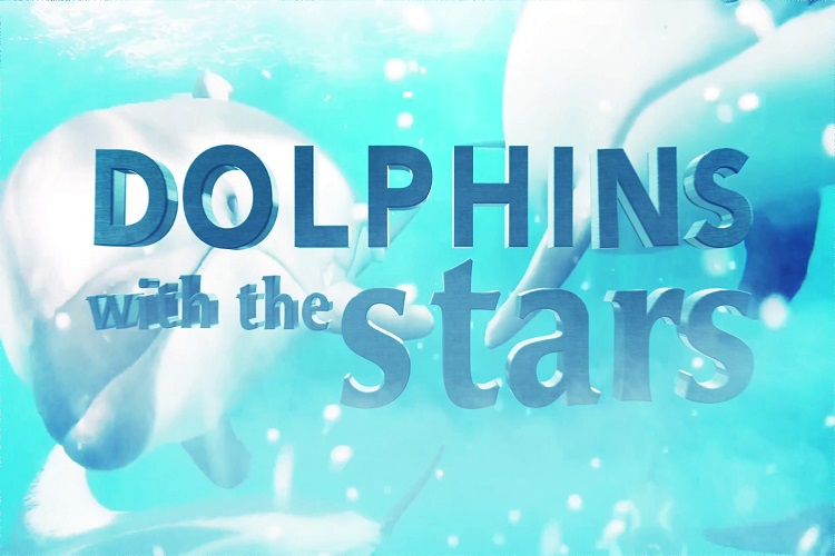 Dolphins-with-the-stars