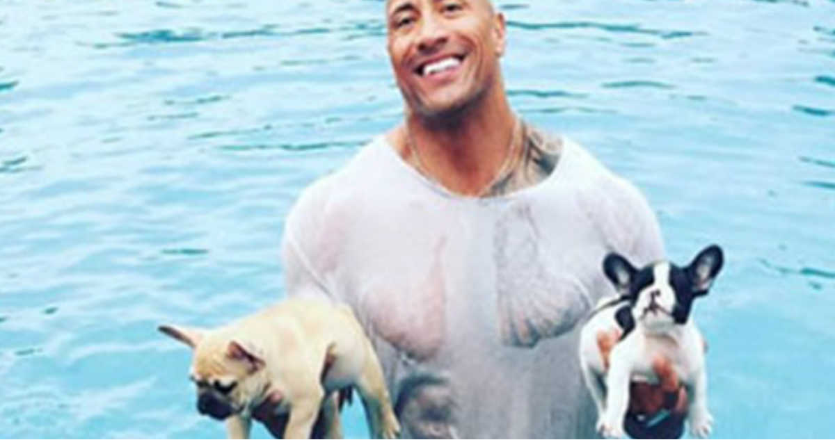 The Rock