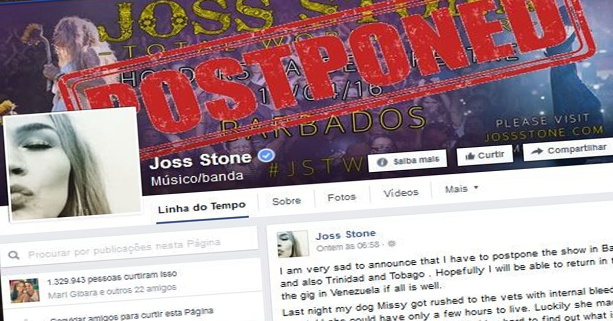 Joss Stone cancela turnê para cuidar de seu cachorro doente