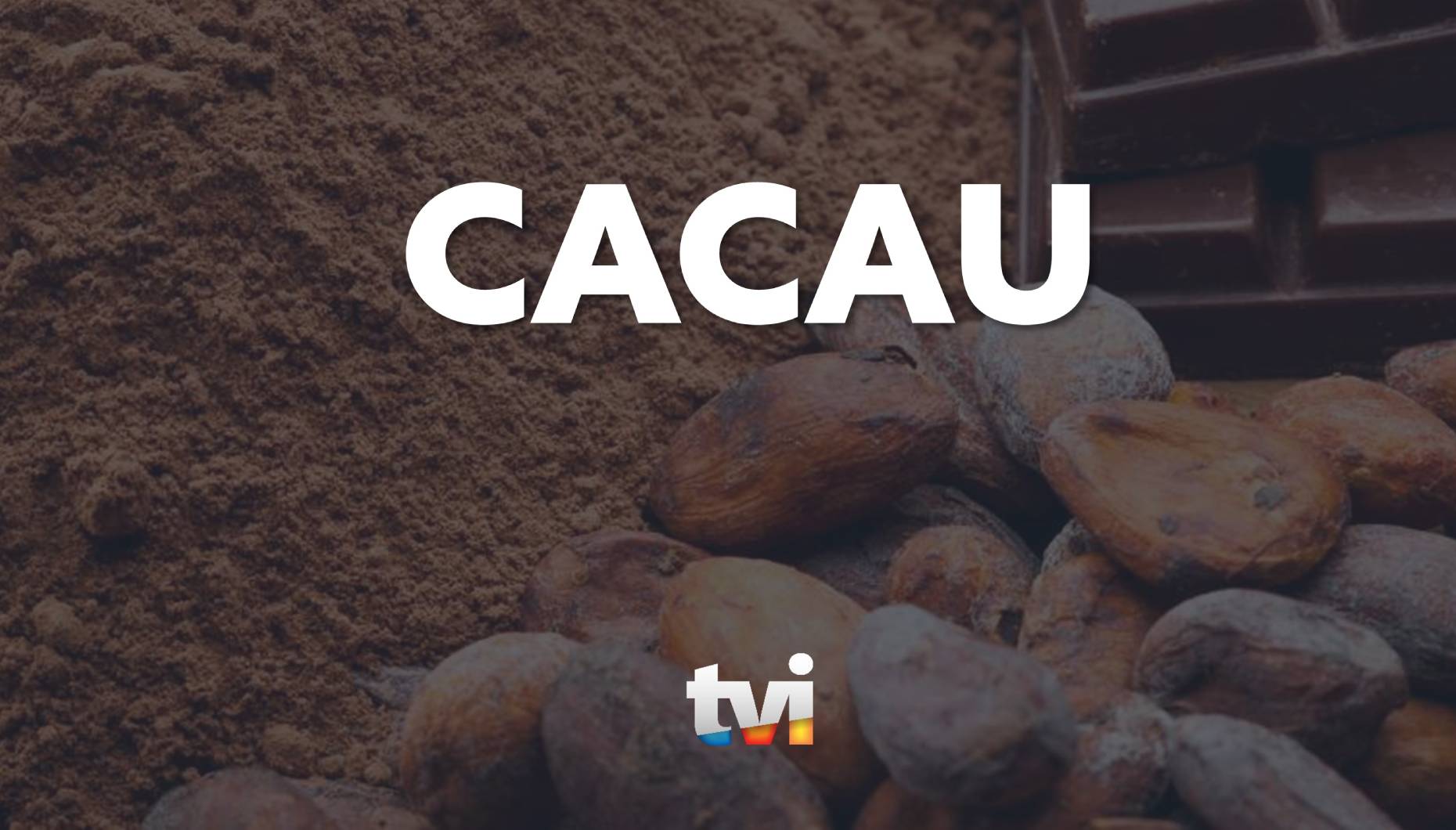 "Cacau" é a nova novela da TVI (em 2025). Sinopse e protagonistas!