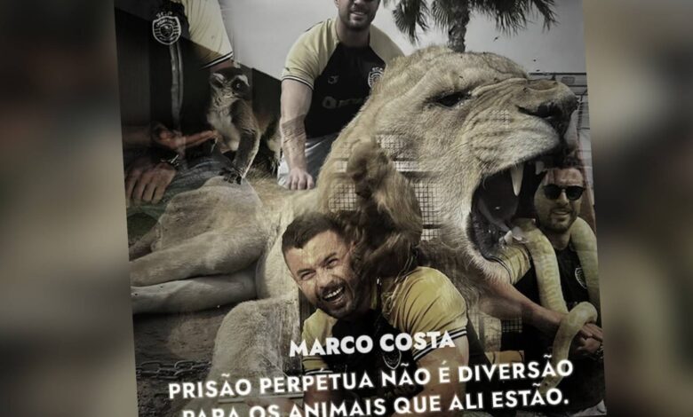 Marco Costa envolvido em polémica. Associação de animais emite comunicado