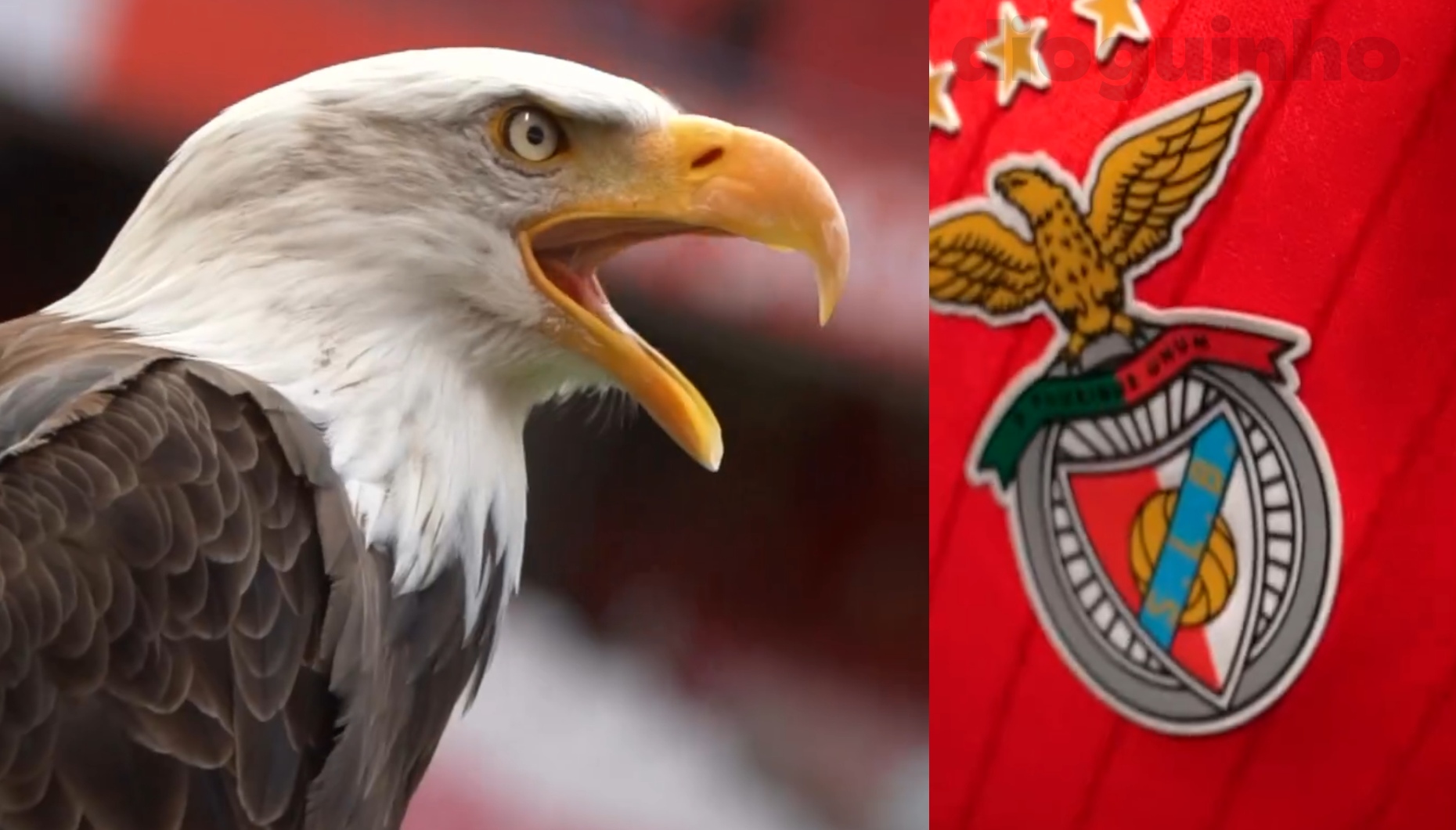 RUI COSTA NUNCA PROMETEU NADA SOBRE VENDA DE JOÃO NEVES DO BENFICA