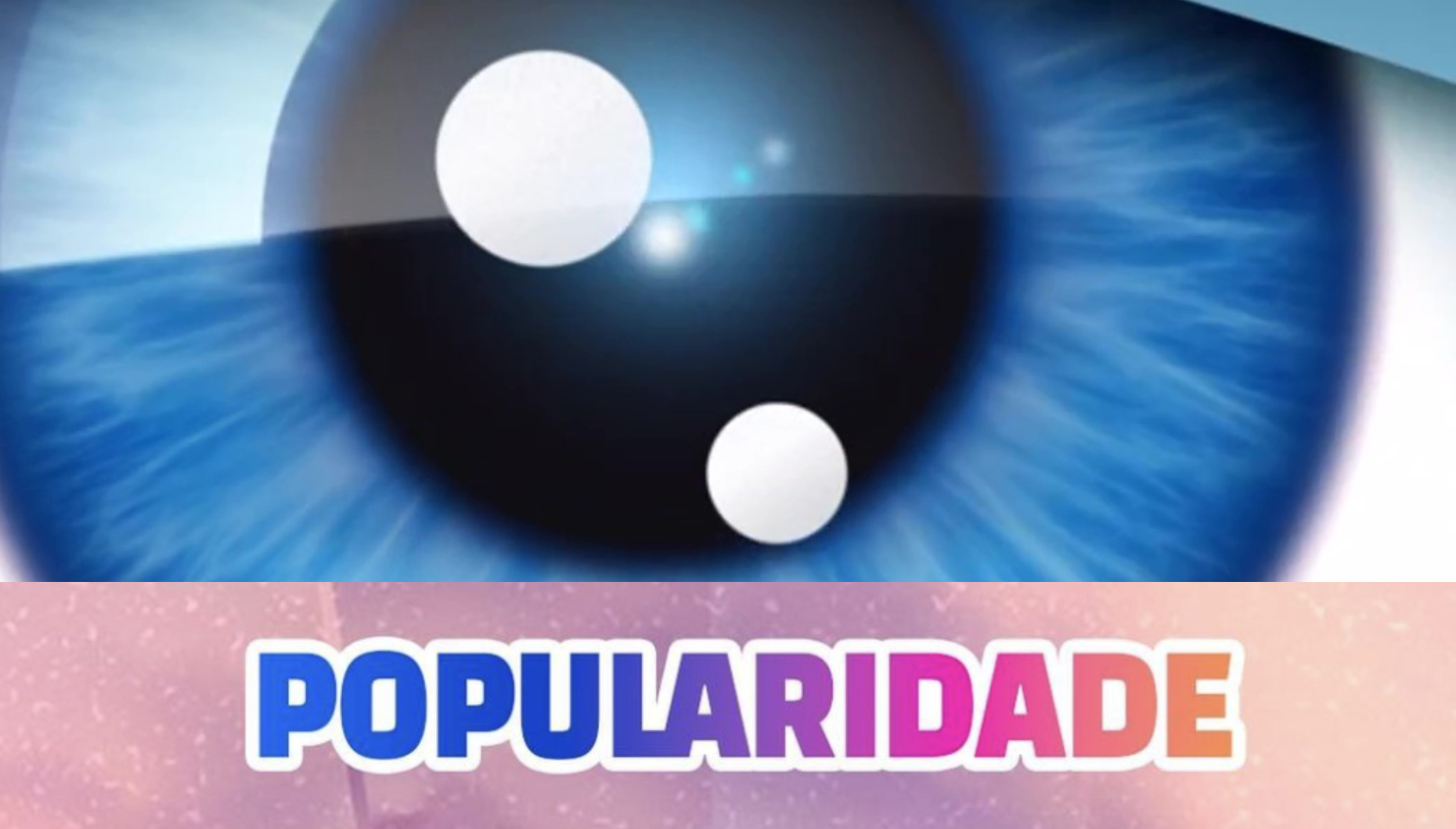 Secret Story 8 - A popularidade dos concorrentes