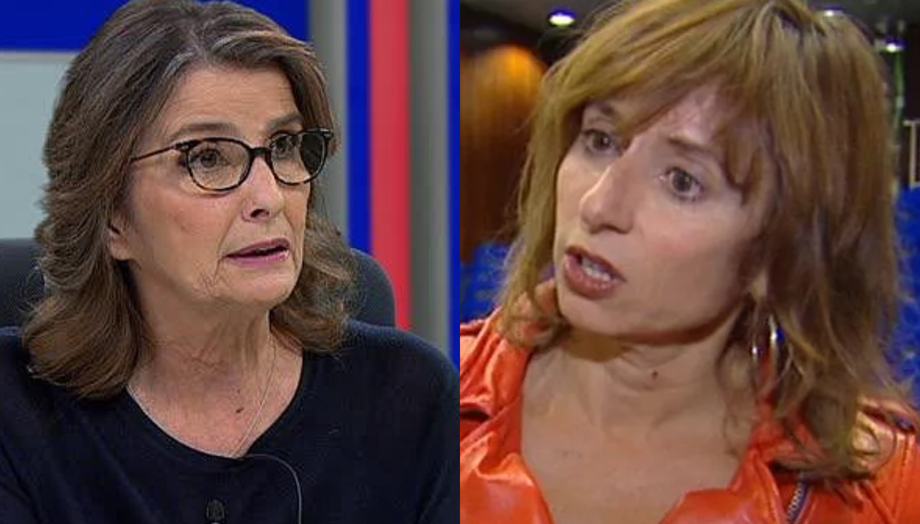 Constança Cunha e Sá pede desculpa a Fernanda Câncio: "Deitei tudo a perder..."