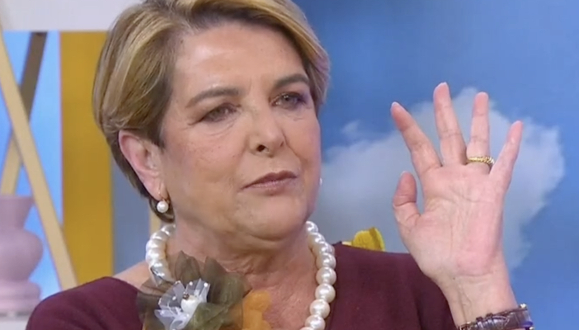Luísa Castel-Branco manifesta-se em direto: “Parem de insultar”