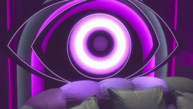 Big Brother