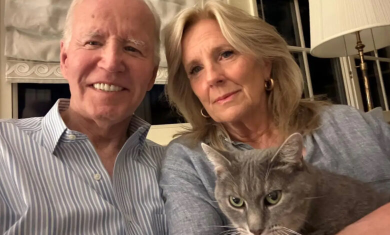 Joe Biden - ex-presidente dos EUA deixa mensagem nas redes sociais após ser diagnosticado com cancro