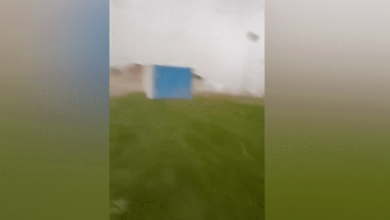 Árbitro é atingido por WC voador durante tempestade nos EUA