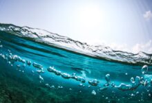 Por que devemos beber água do mar?