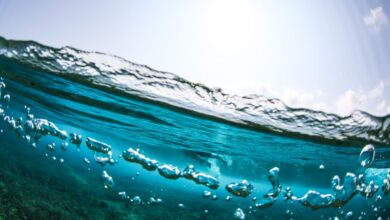 Por que devemos beber água do mar?