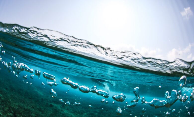 Por que devemos beber água do mar?