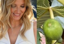 O que inspira Cristina Ferreira nas férias: "Um figo a nascer". Namorado 'responde'