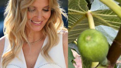 O que inspira Cristina Ferreira nas férias: "Um figo a nascer". Namorado 'responde'