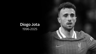 Fisioterapeuta de Diogo
