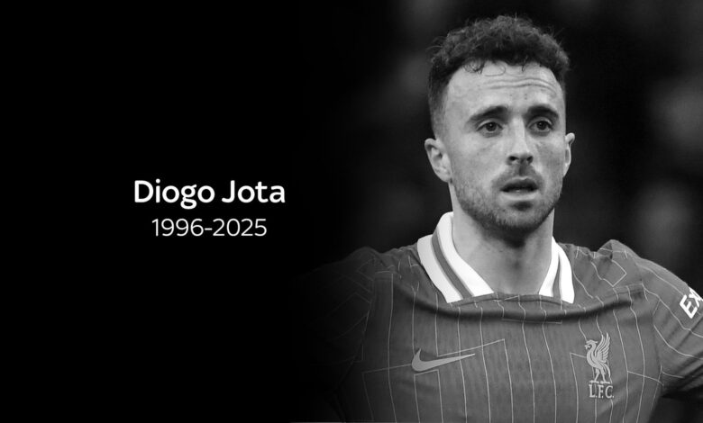 Fisioterapeuta de Diogo