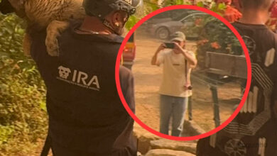 IRA 'apanha' suspeita de fogo posto em fotografia e ajuda GNR: "um autêntico psicopata"