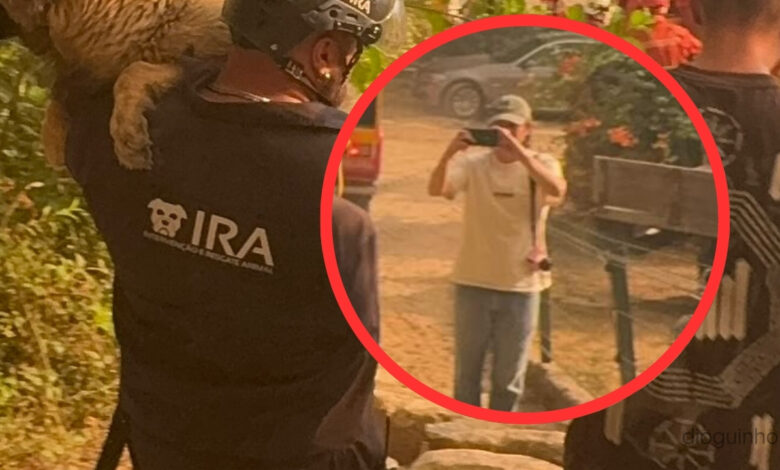 IRA 'apanha' suspeita de fogo posto em fotografia e ajuda GNR: "um autêntico psicopata"