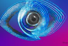 "Big Brother Verão" com o 'Última Hora' com grande resultado