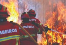 incêndios