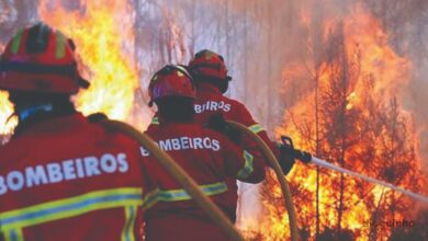 incêndios