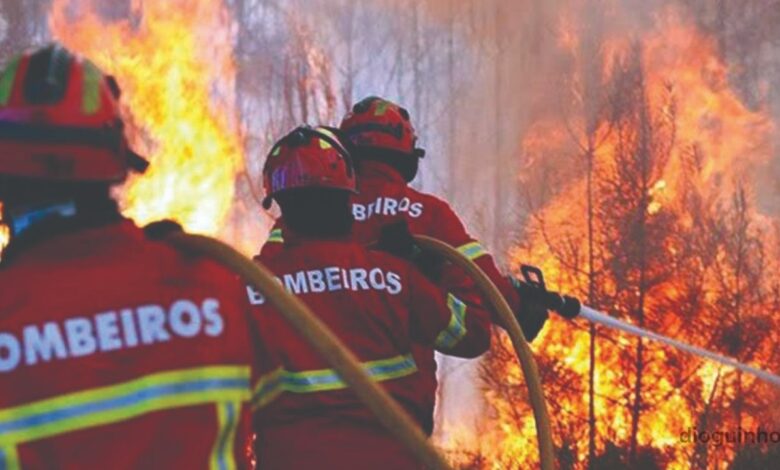 incêndios