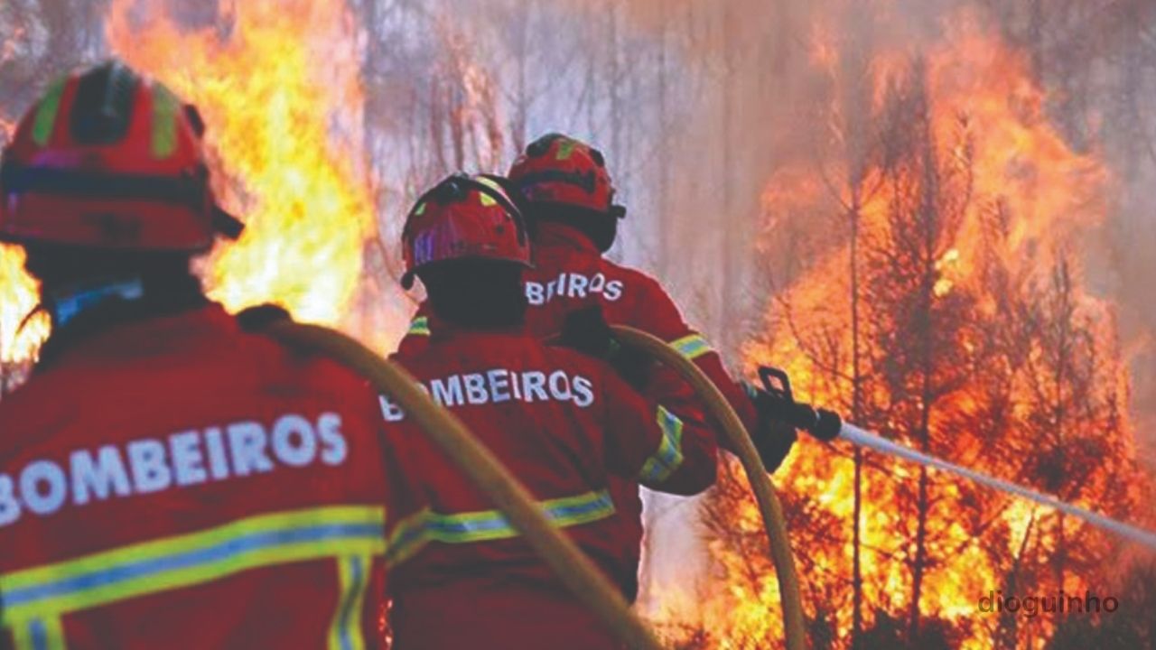 incêndios