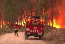 Fogo em Vinhais: dois detidos saem em liberdade. Já são 95 detidos por atear fogos em 2025