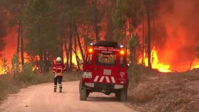 Fogo em Vinhais: dois detidos saem em liberdade. Já são 95 detidos por atear fogos em 2025