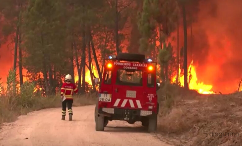 Fogo em Vinhais: dois detidos saem em liberdade. Já são 95 detidos por atear fogos em 2025