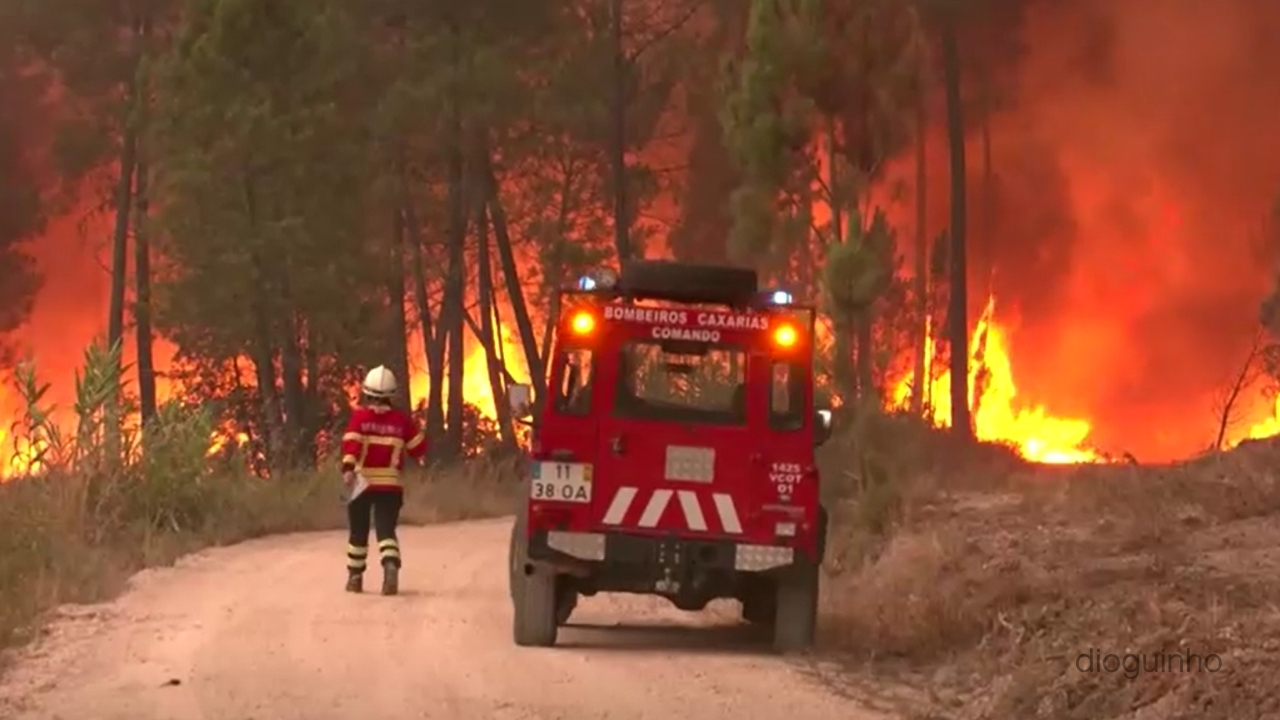 Fogo em Vinhais: dois detidos saem em liberdade. Já são 95 detidos por atear fogos em 2025