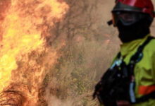 Incêndios Portugal. Trancoso vive inferno das chamas e zero reforços: 'que não foram autorizados'