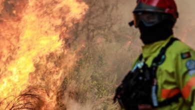 Incêndios Portugal. Trancoso vive inferno das chamas e zero reforços: 'que não foram autorizados'