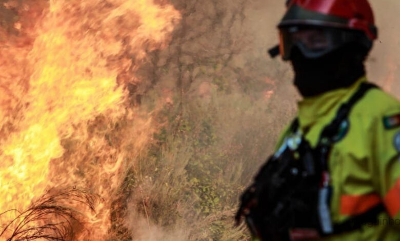 Incêndios Portugal. Trancoso vive inferno das chamas e zero reforços: 'que não foram autorizados'