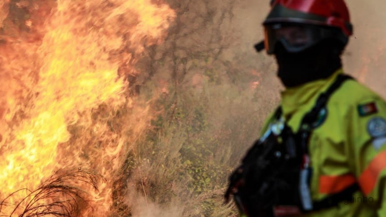 Incêndios Portugal. Trancoso vive inferno das chamas e zero reforços: 'que não foram autorizados'