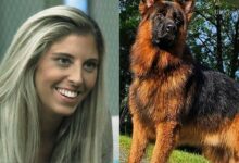Perseguida, mas difícil de apanhar. Frederica Lima demolidora nas competições caninas