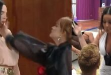 Agressão no reality show no Brasil ao mesmo tempo que a Vera agrediu o Dylan