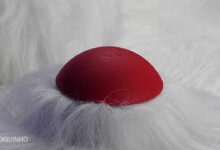 Segredo "Já vendi os meus óvulos" foi revelado na TVI