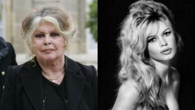 "E Deus recolheu a mulher": Morreu Brigitte Bardot, a lenda francesa, aos 91 anos