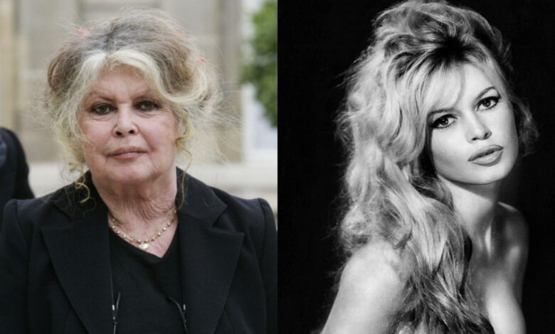 "E Deus recolheu a mulher": Morreu Brigitte Bardot, a lenda francesa, aos 91 anos