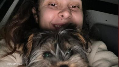 Sandrina Pratas recupera cão desaparecido e agradece a quem o salvou