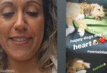 Marisa quebra o silêncio sobre a polémica da cadela: "Há pessoas que nos querem mesmo mal"