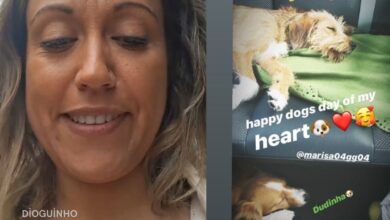 Marisa quebra o silêncio sobre a polémica da cadela: "Há pessoas que nos querem mesmo mal"