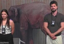 João e Catarina dão corte à Voz no Secret Story: "Não há necessidade de expor a nossa vida íntima"