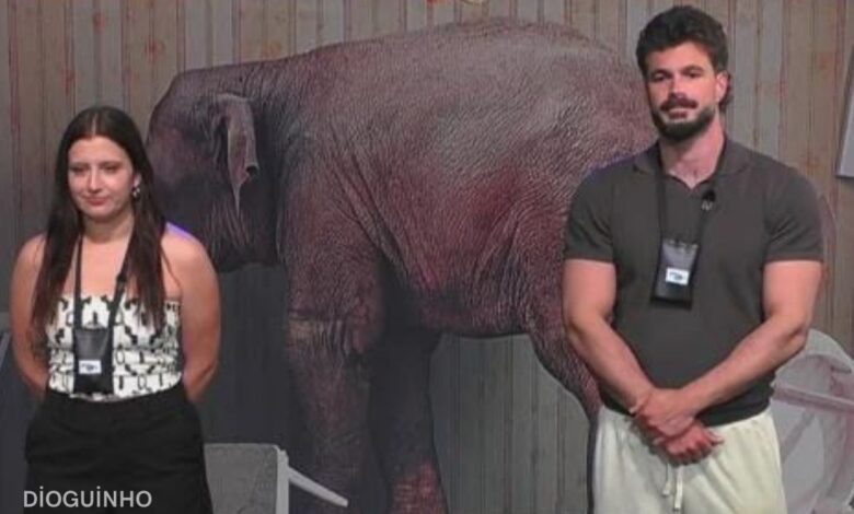 João e Catarina dão corte à Voz no Secret Story: "Não há necessidade de expor a nossa vida íntima"