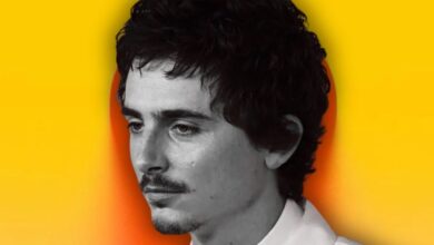 António Leal e Silva arrasa look de Timothée Chalamet nos Óscares 2026: "Parece uma mosca varejeira"