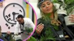 Afonso Leitão desvaloriza críticas de Diana Dora e cria jardim botânico ao lado da "planta"