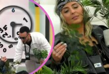 Afonso Leitão desvaloriza críticas de Diana Dora e cria jardim botânico ao lado da "planta"