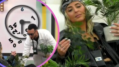 Afonso Leitão desvaloriza críticas de Diana Dora e cria jardim botânico ao lado da "planta"