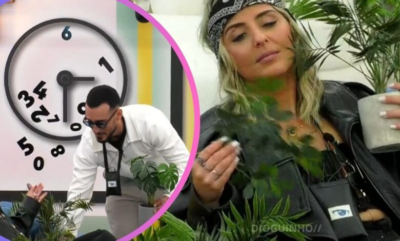 Afonso Leitão desvaloriza críticas de Diana Dora e cria jardim botânico ao lado da "planta"