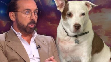 Morreu Maria Francisca, a cadela que conquistou o "Big Brother VIP"